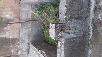 Bournac AVSA lavoir avant