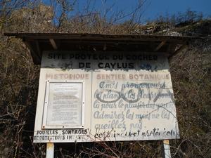 Accueil Caylus 1