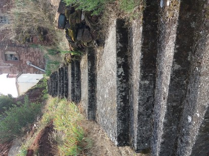 AVSA Bournac le Davaladou