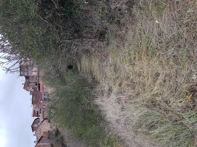 AVSA Bournac chemin du cimetière nettoyé