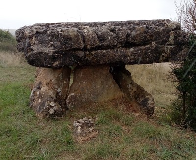 Dolmen de Crassous 12400 1