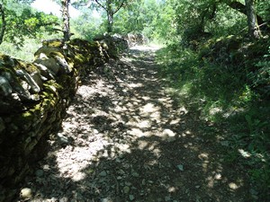 Rando St Affrique Tiergues dolmen 2