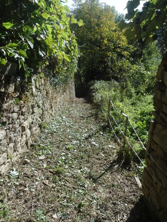 Chemin du lavoir Vailhauzy