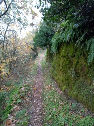 Bournac 12400 chemin du cimetière 2