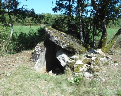 Crassous 12400 dolmen de Puech Ubilié