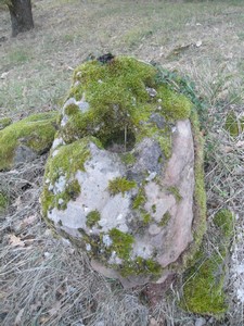 Bournac 12400 Chapelle St Amans ancienne pierre