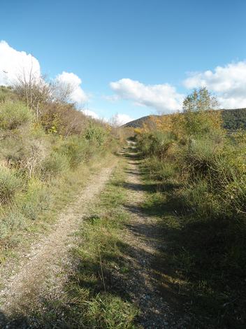 Vailhauzy vers le dolmen et la Quille 1