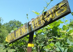 Rando St Affrique Tiergues dolmen 1