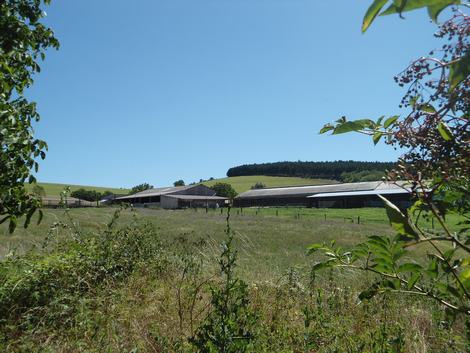 Vispens nouveaux bâtiments agricoles